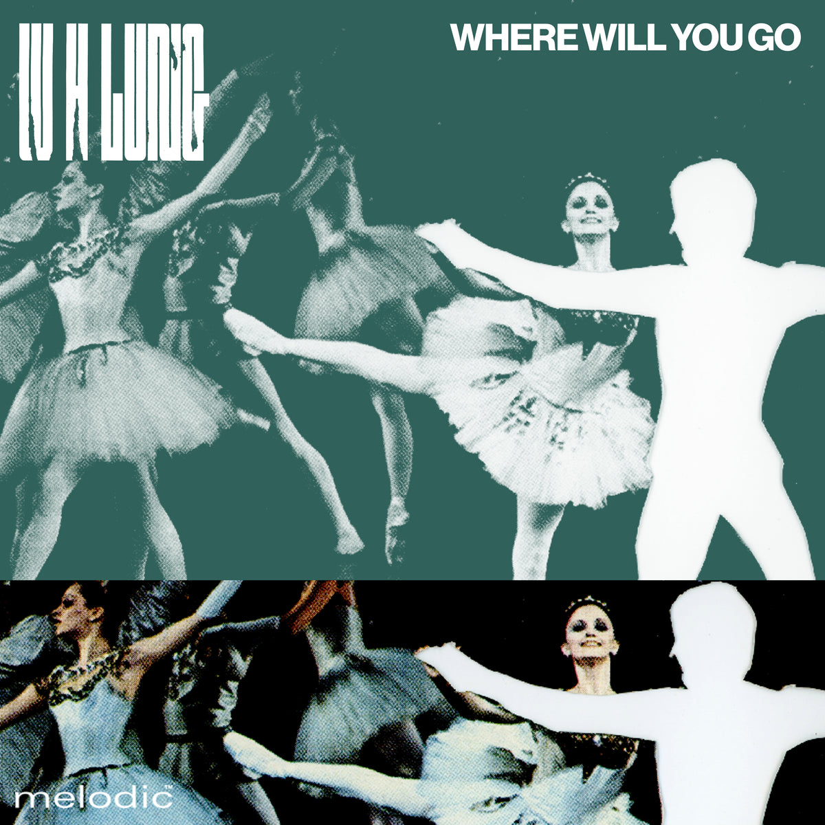 W. H. Lung - Where Will You Go?
